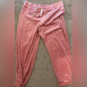 J. Crew Pink Velour Track Pants XL